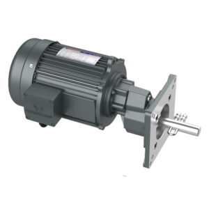 มอเตอร์เกียร์ ให้อาหารสัตว์ปีก (Poultry Farm Feeding Gear Motor)